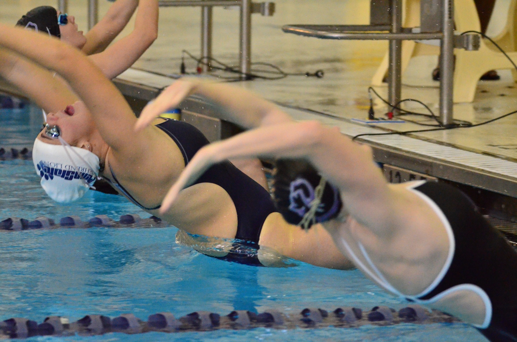 Women's Swimming and Diving Competes Against Malone