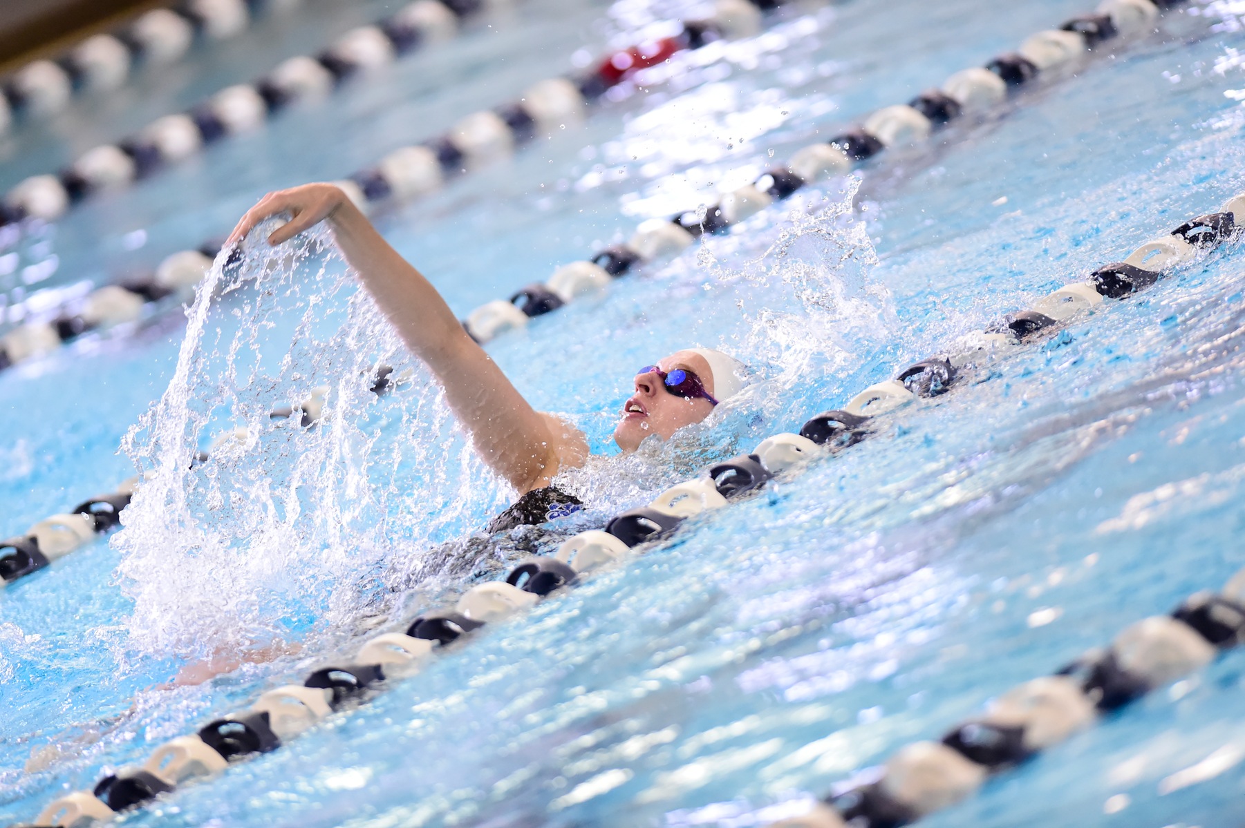 Malone Too Much For Women's Swimming and Diving