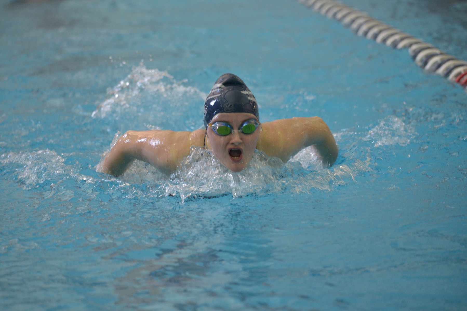 Westminster Too Much For Women's Swimming and Diving