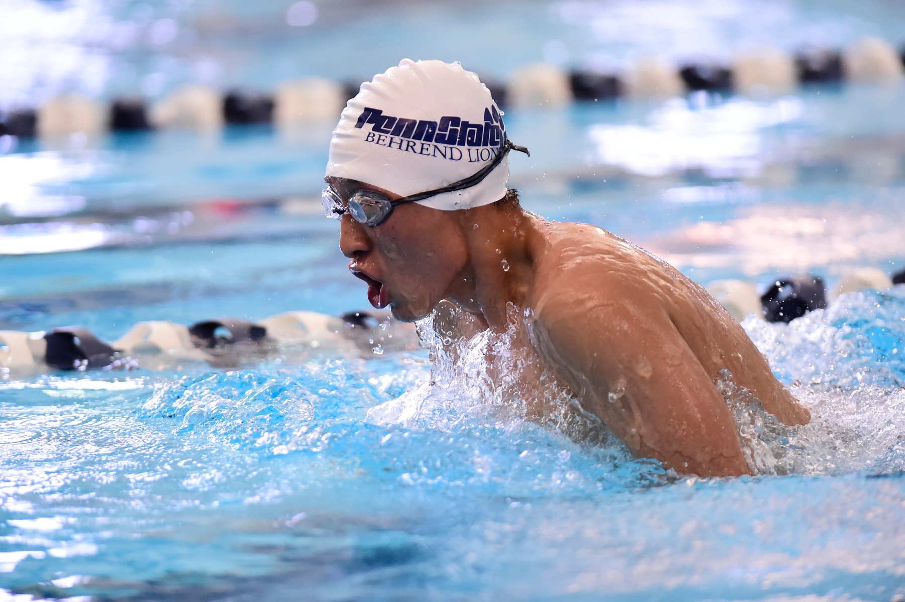 Men's Swimming Defeats Alfred State in AMCC Action