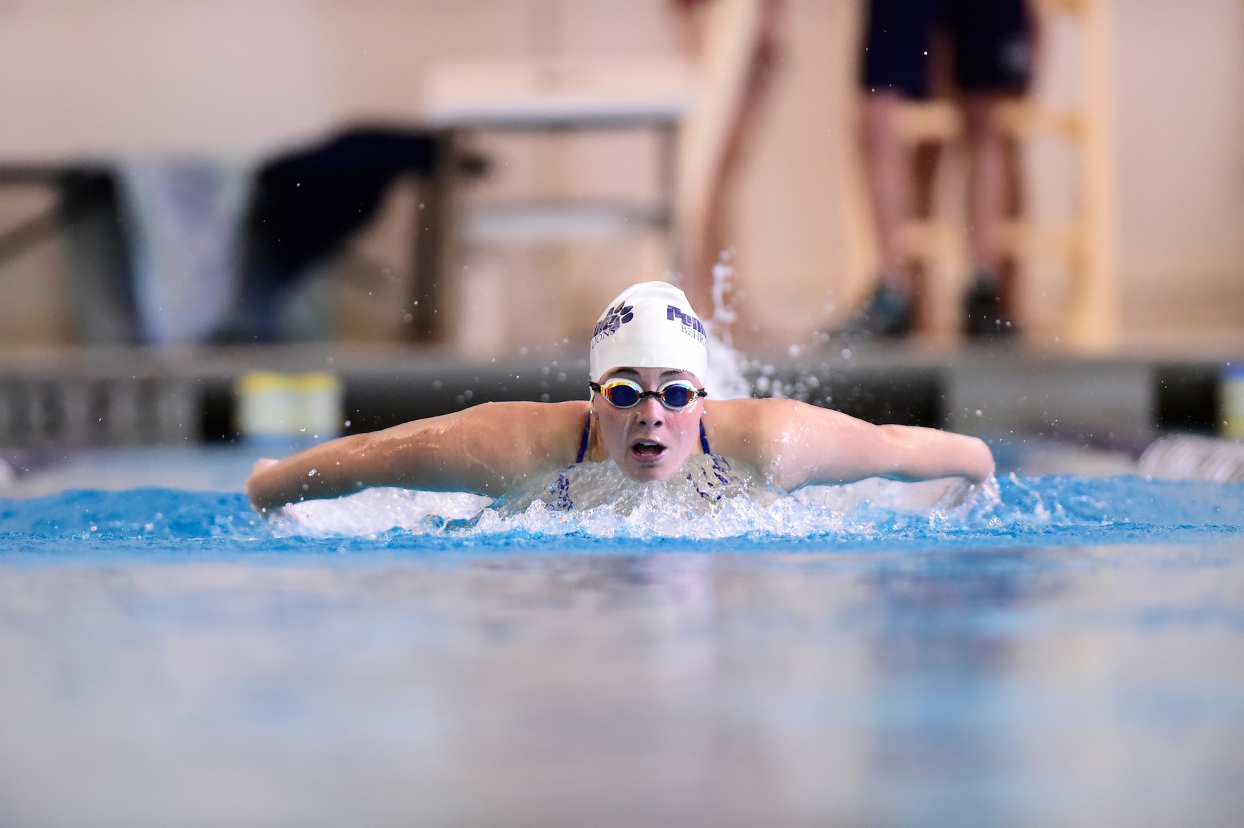 Women's Swimming and Diving Welcomes Westminster Saturday