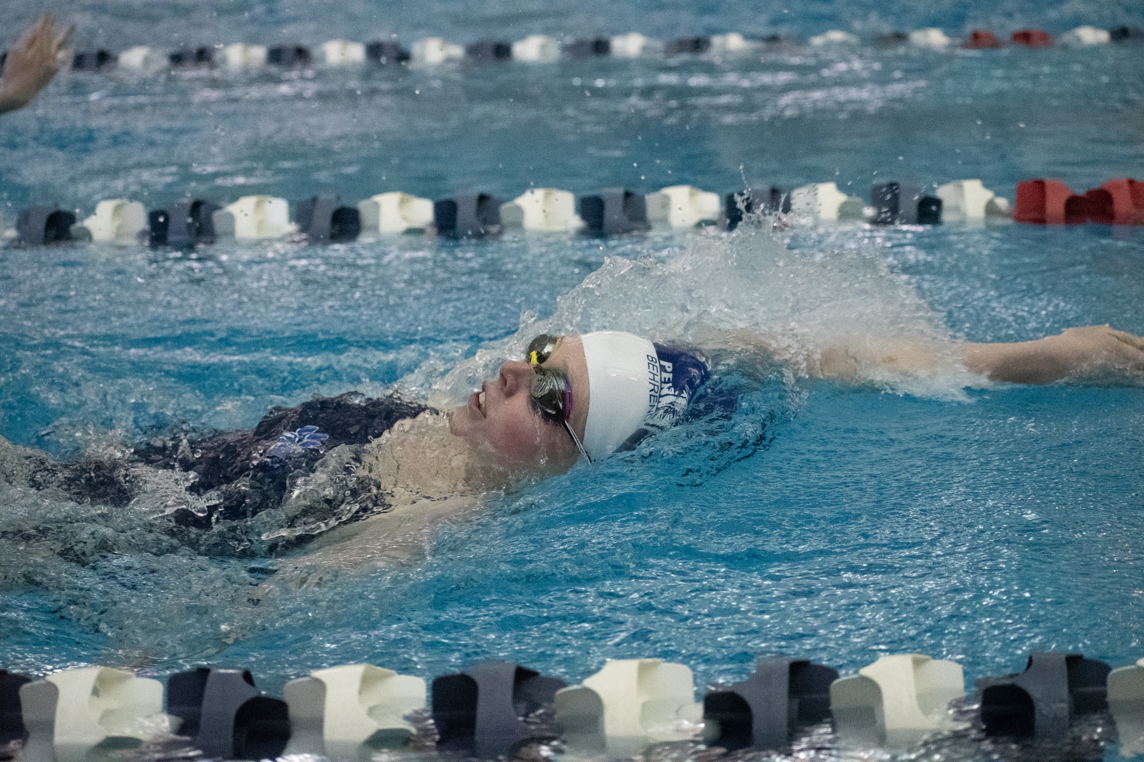 Behrend Women's Swimming and Diving Compete at Grove City