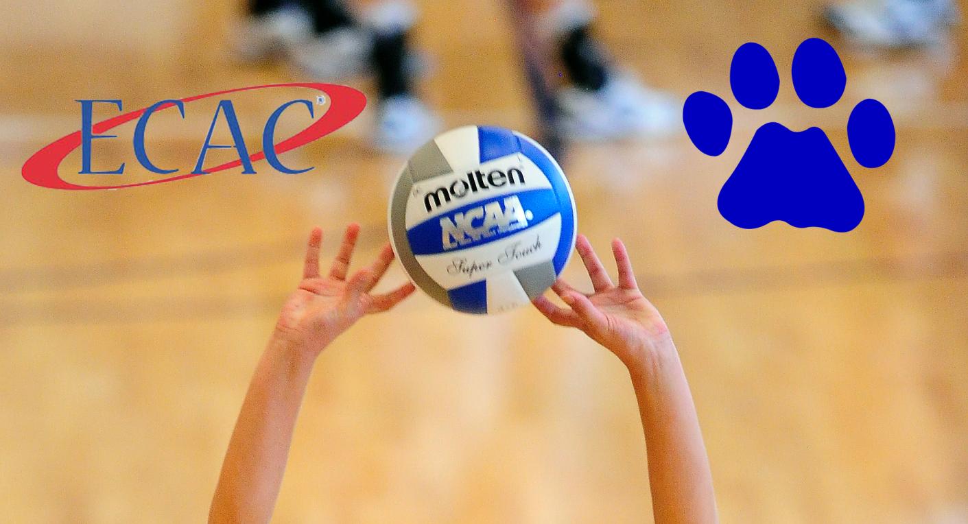 Women's Volleyball Face Bethany in ECAC South Region Tournament