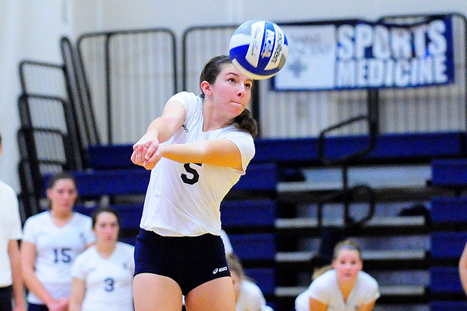 Behrend Blanks D'Youville in AMCC Action