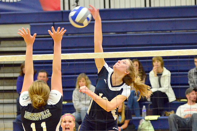 Women's Volleyball Topples Tomcats