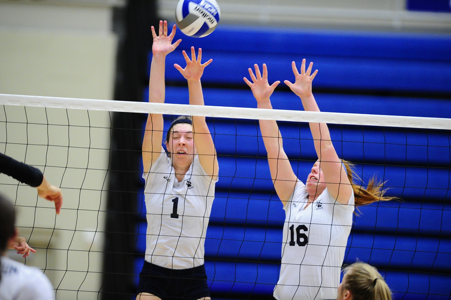 Grove City Takes Lions in Five Sets