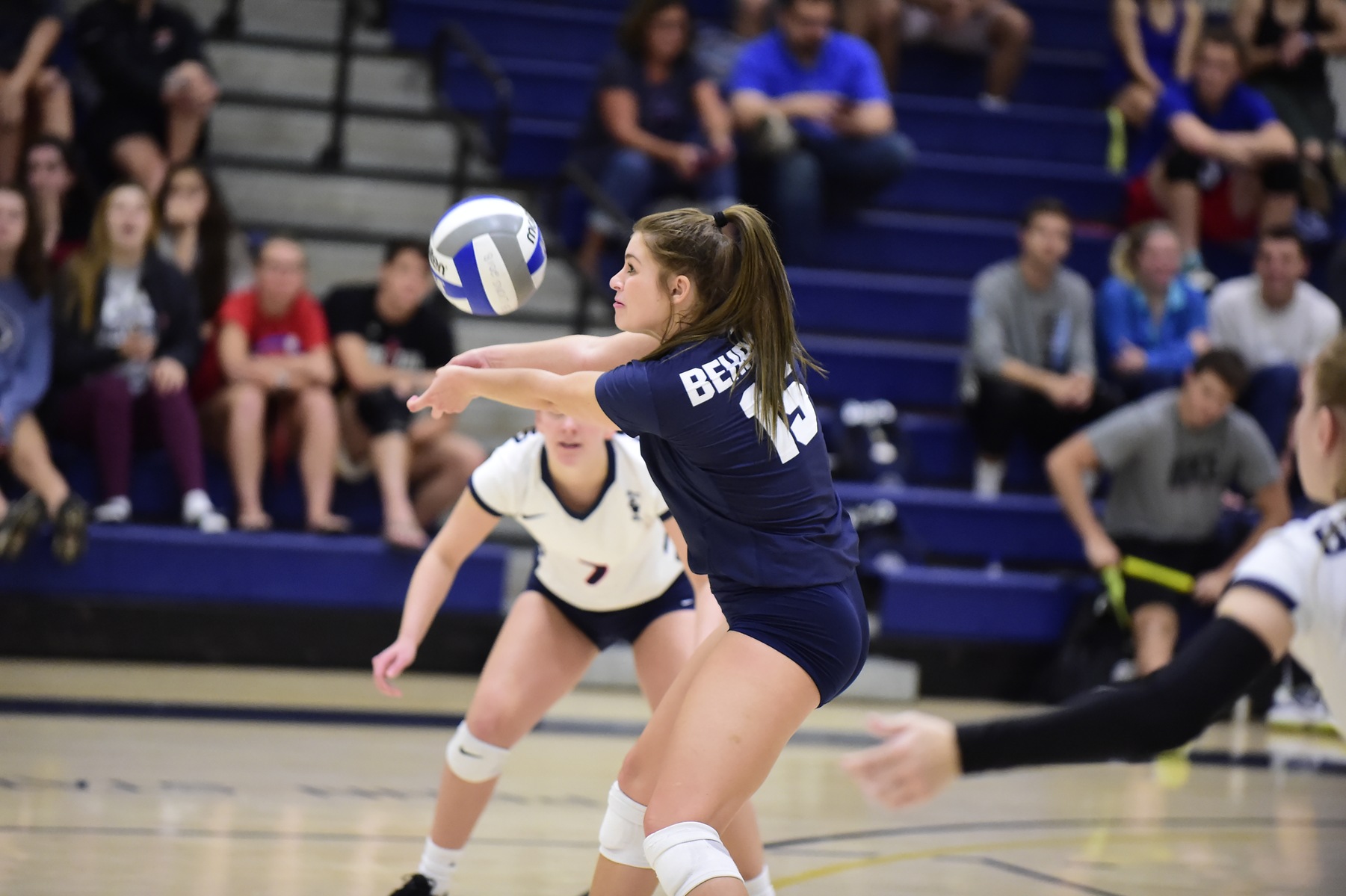 Women's Volleyball Defeats Wilkes in Three; Lions Advance to ECAC Quarterfinals