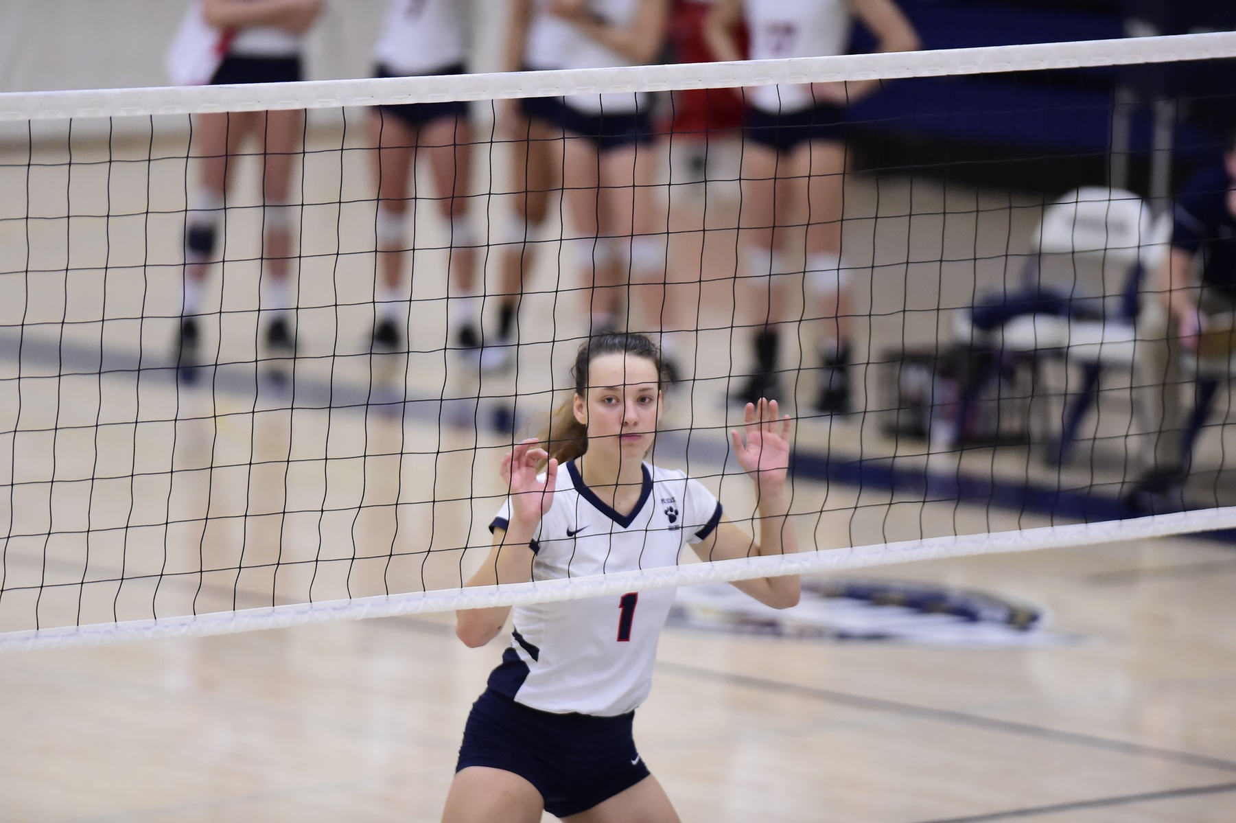 Behrend Volleyball Set to Compete at Wells Tournament
