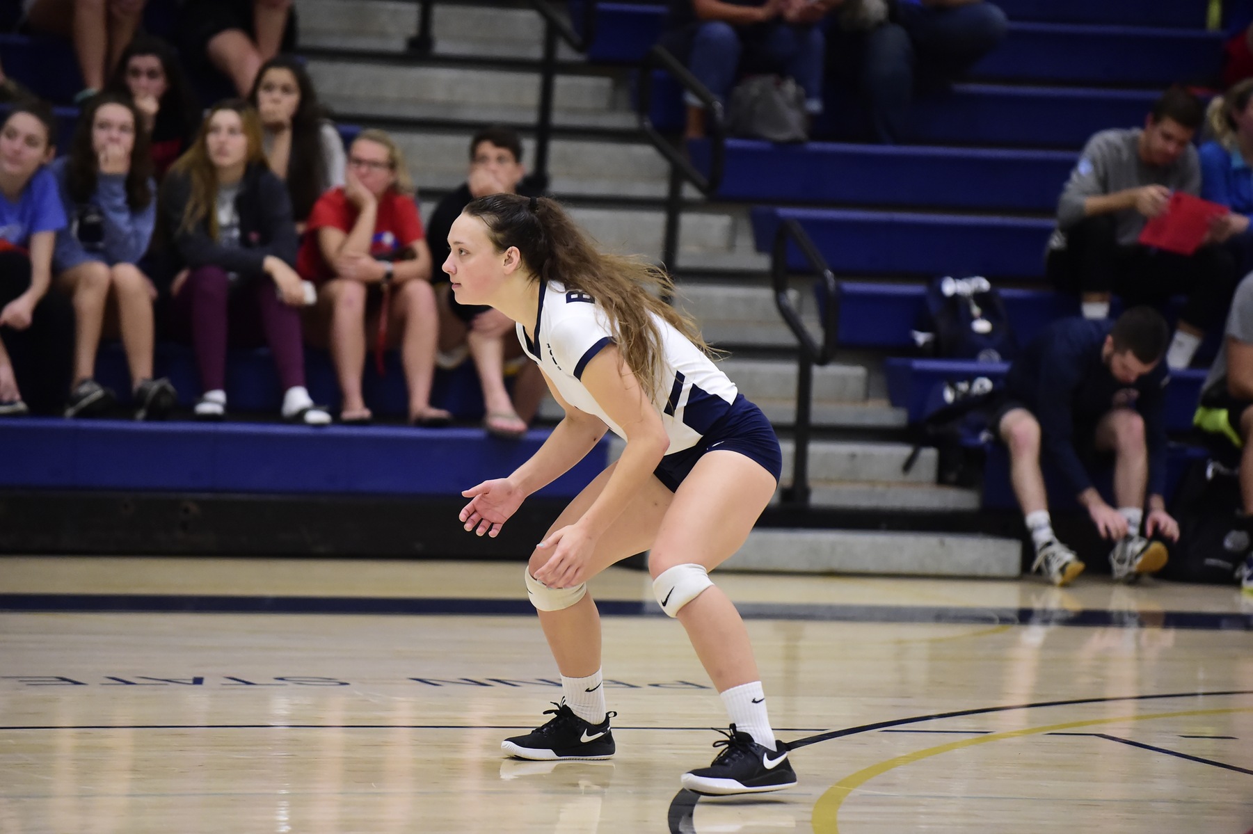 Volleyball Falls Twice at Behrend Invitational
