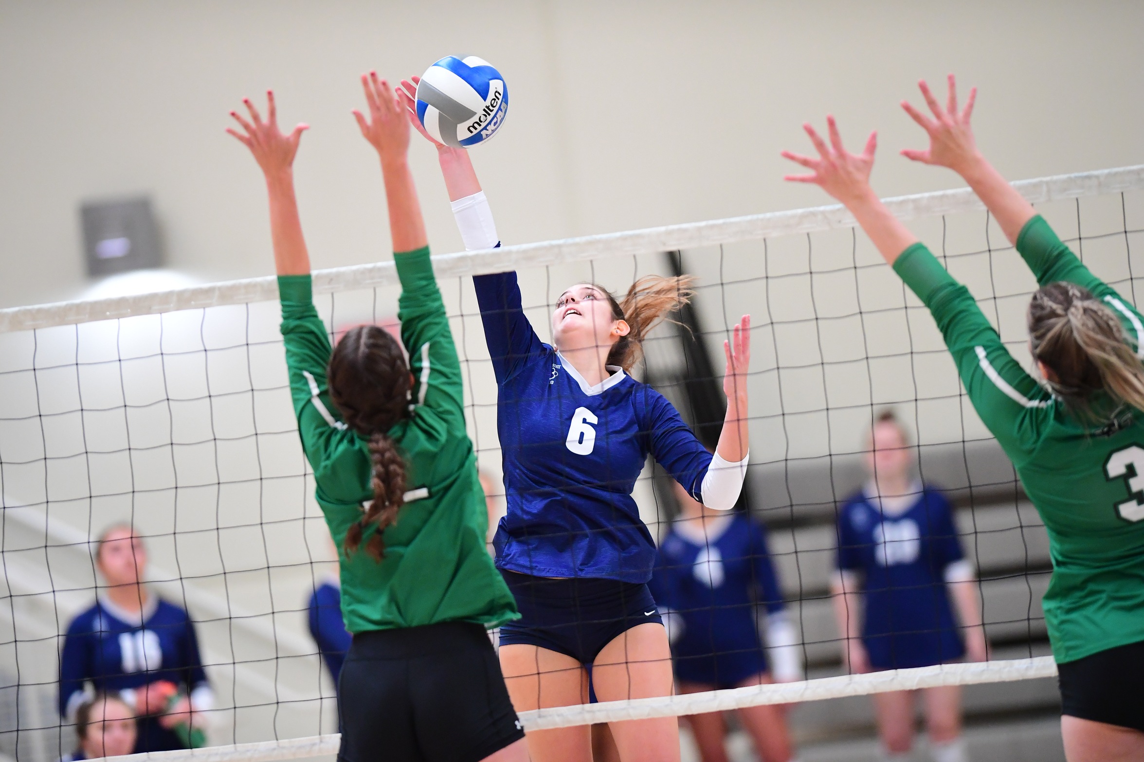 Behrend Women's Volleyball Advances to the AMCC Finals