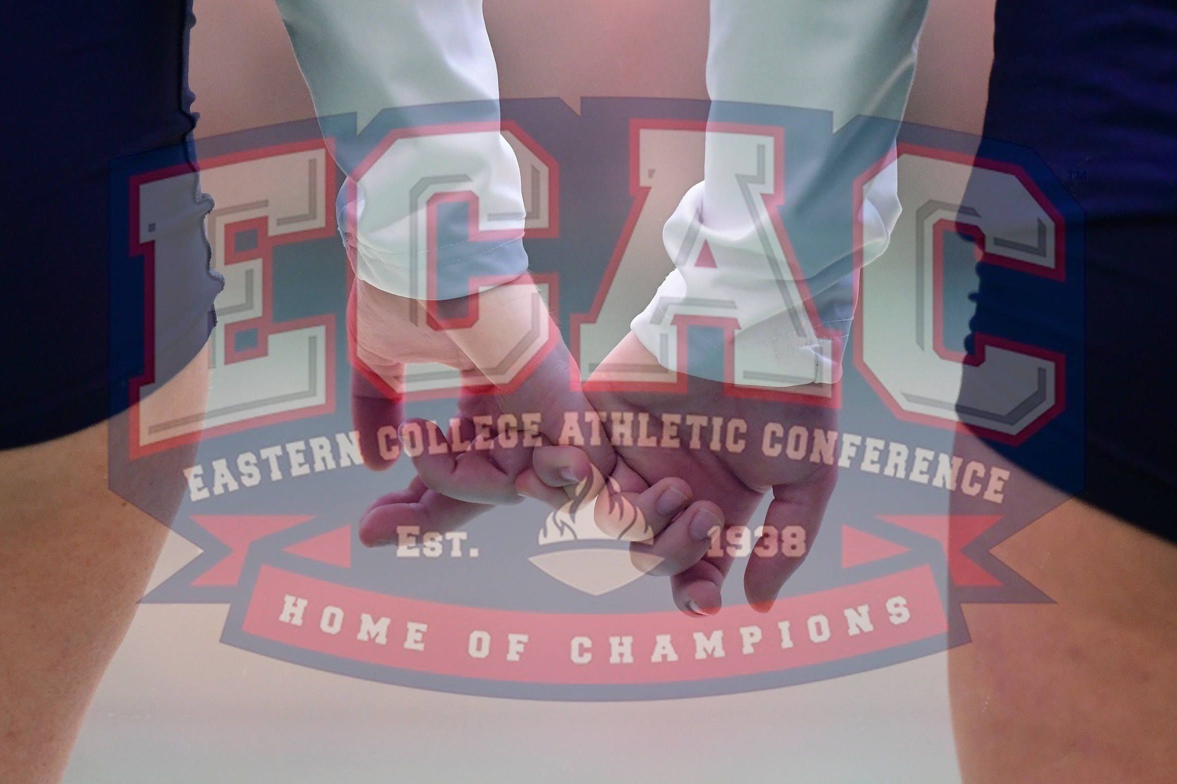 Behrend Women's Volleyball Faces Grove City in ECAC South Championship