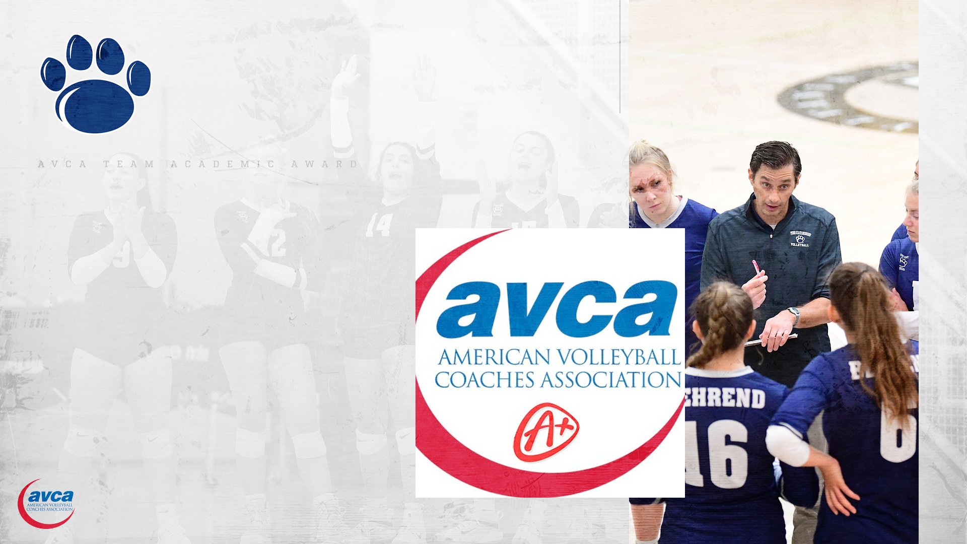 Behrend Women's Volleyball Receives USMC/AVCA Team Academic Award