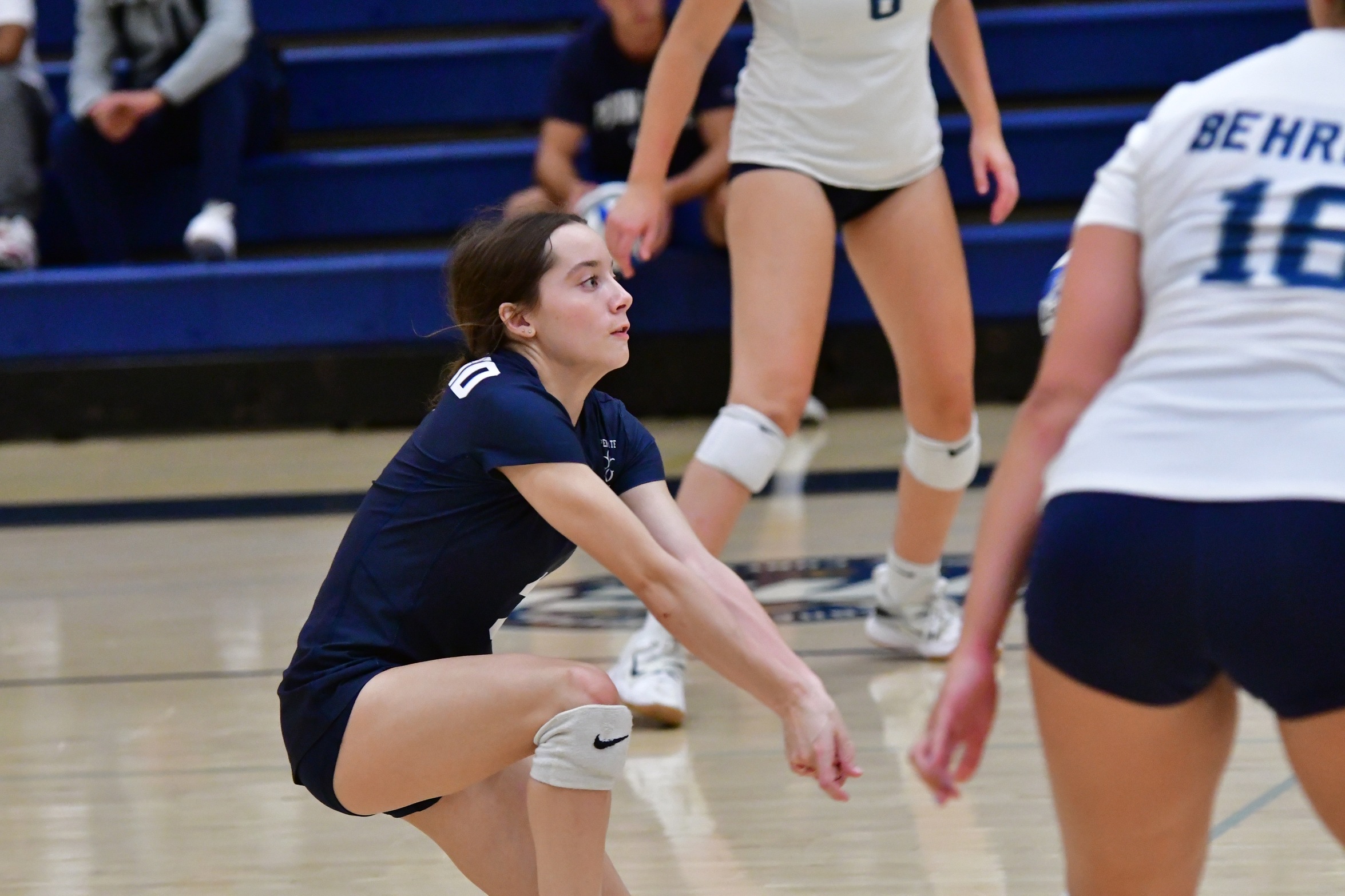 Behrend Women's Volleyball Defeats Fredonia; Falls to Grove City
