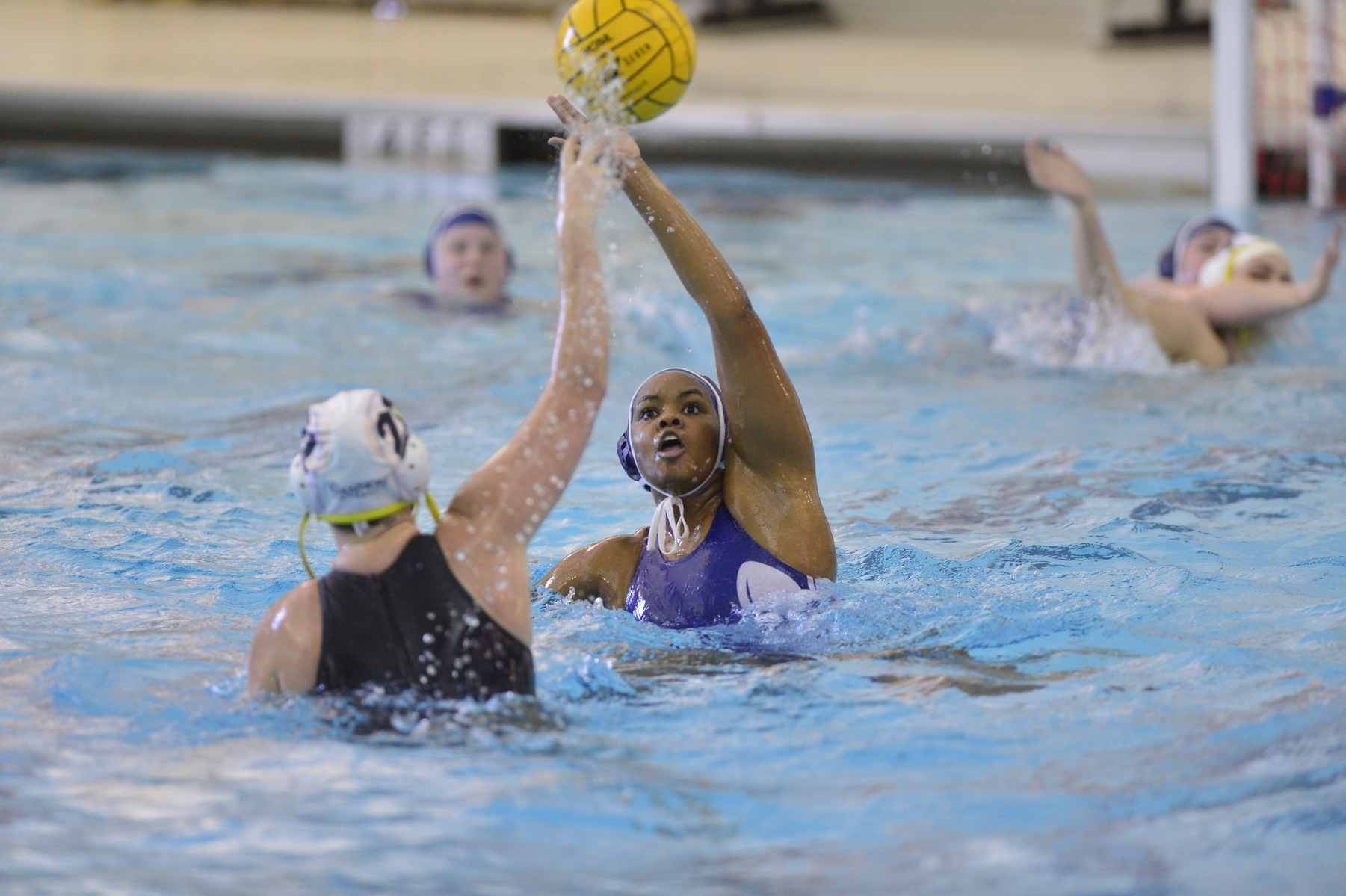 Water Polo Travels to Washington & Jefferson for CWPA Regionals