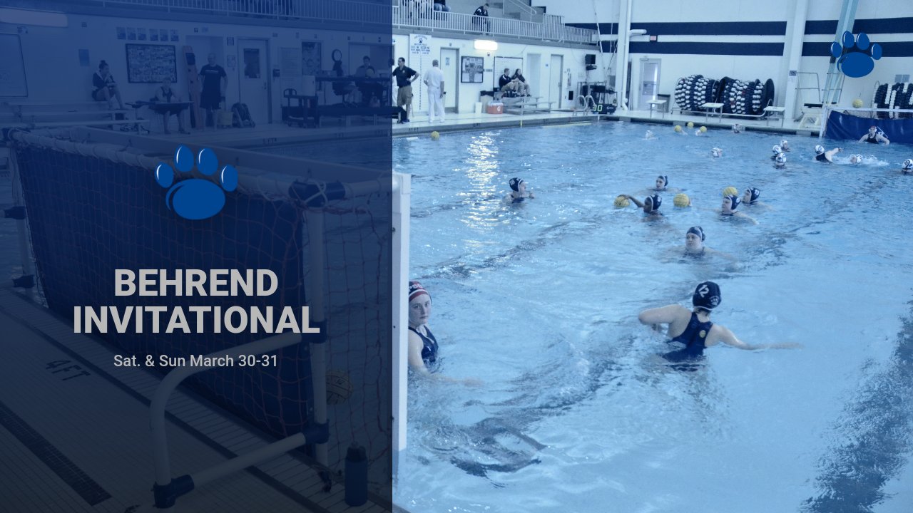 Water Polo Set To Host Behrend Invitational