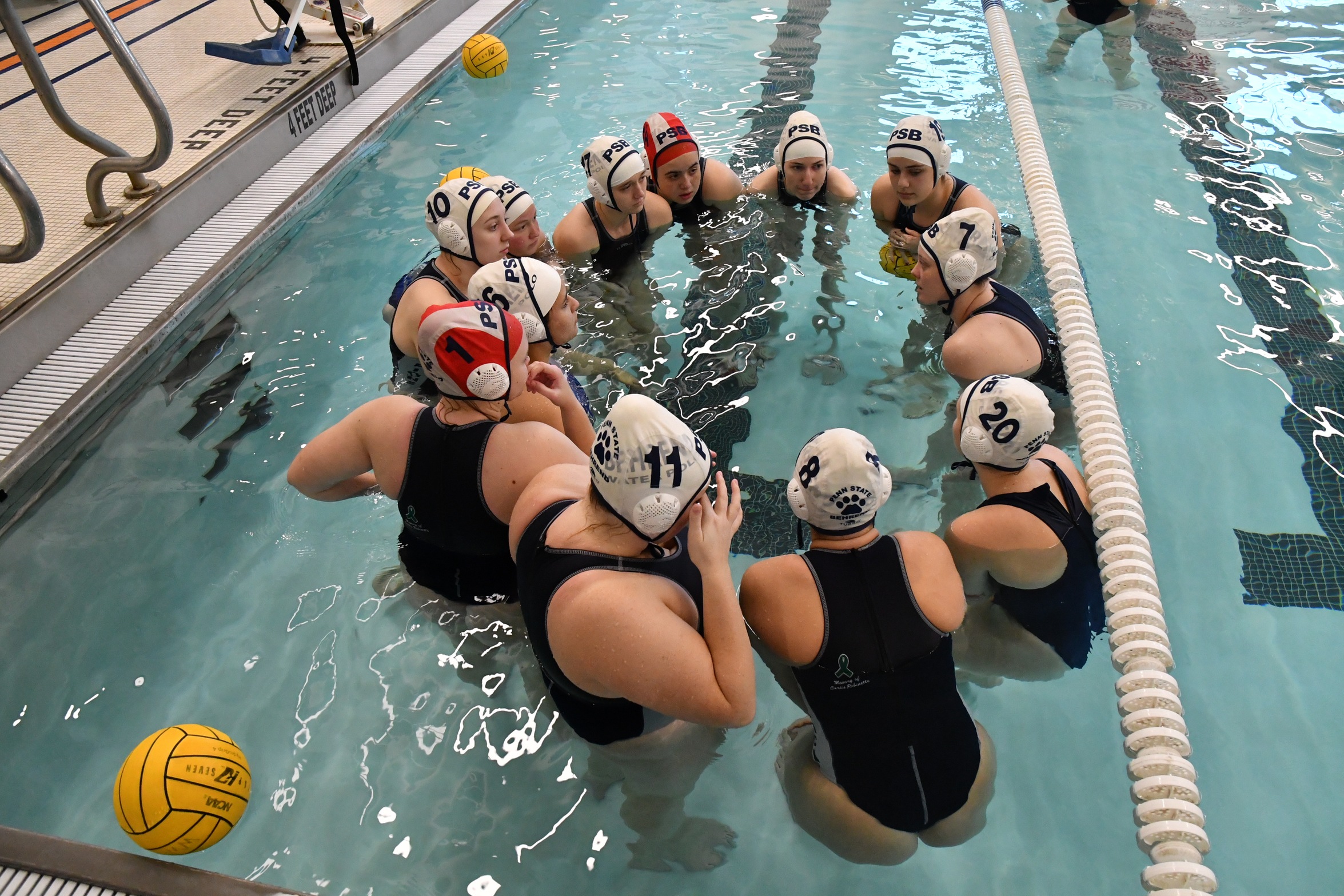 Behrend Women's Water Polo Hosts CWPA Regional Tournament