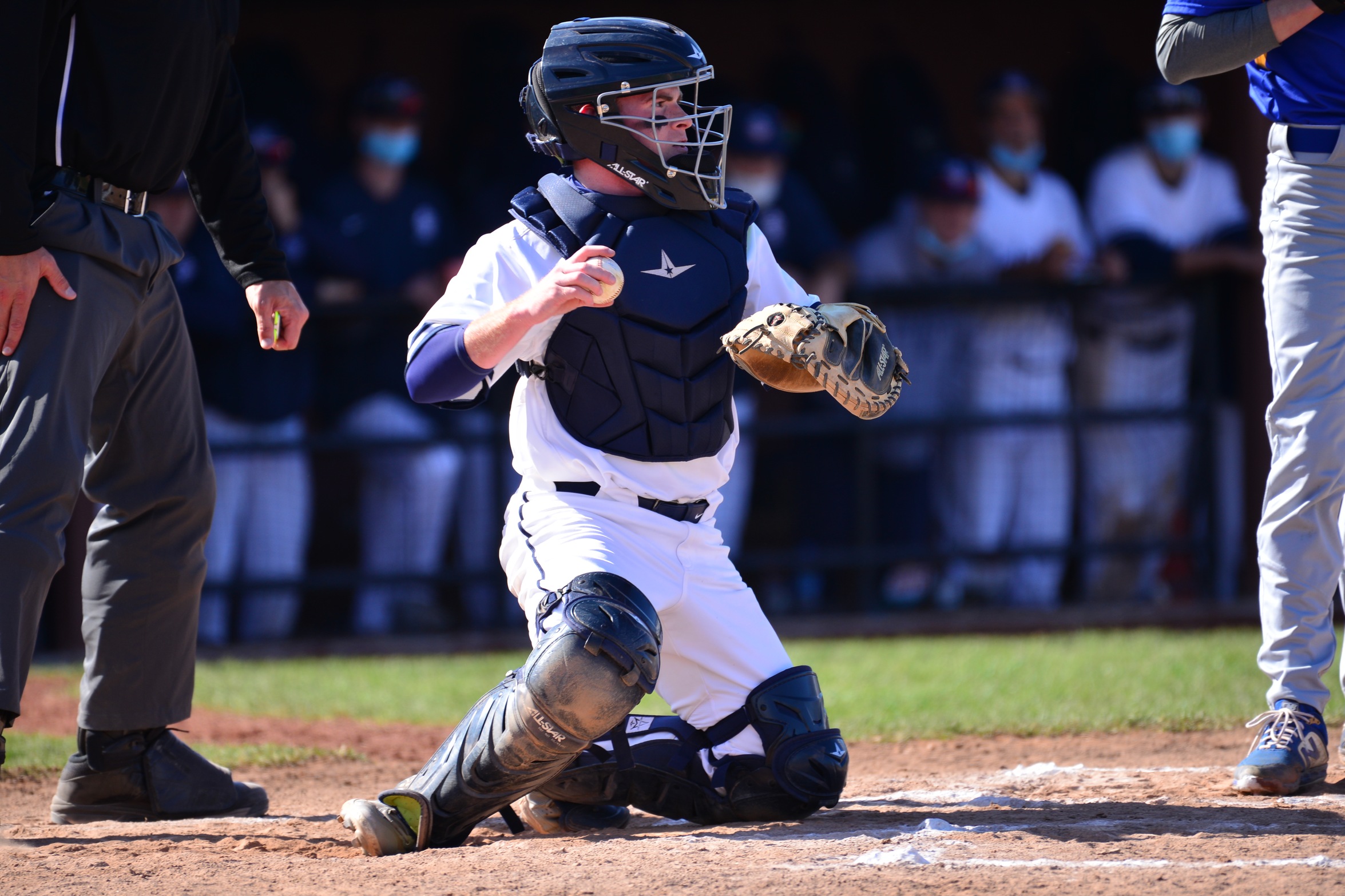 Behrend Takes on Pitt-Greensburg in AMCC Action on Sunday