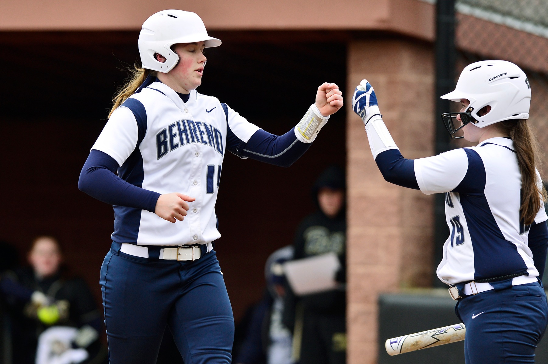 Softball Travels to Penn State Altoona for AMCC Matchup