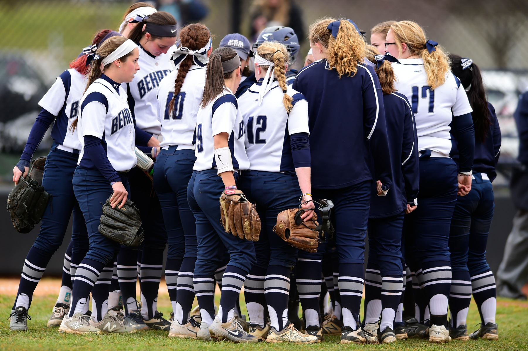 Softball Travels to D'Youville for AMCC Matchup