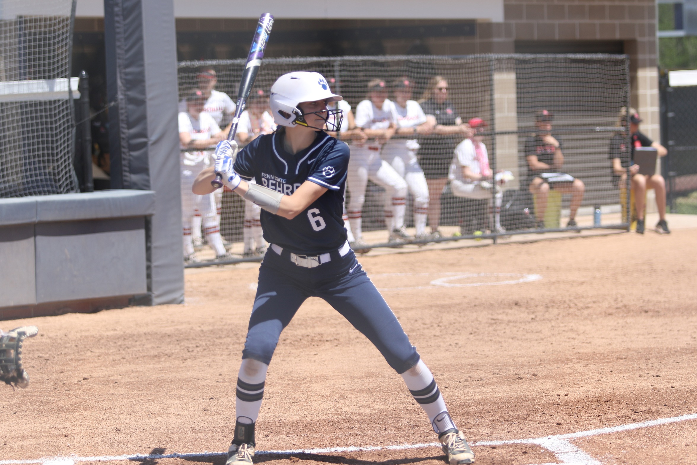 Behrend Softball Falls to North Central in NCAA Tournament