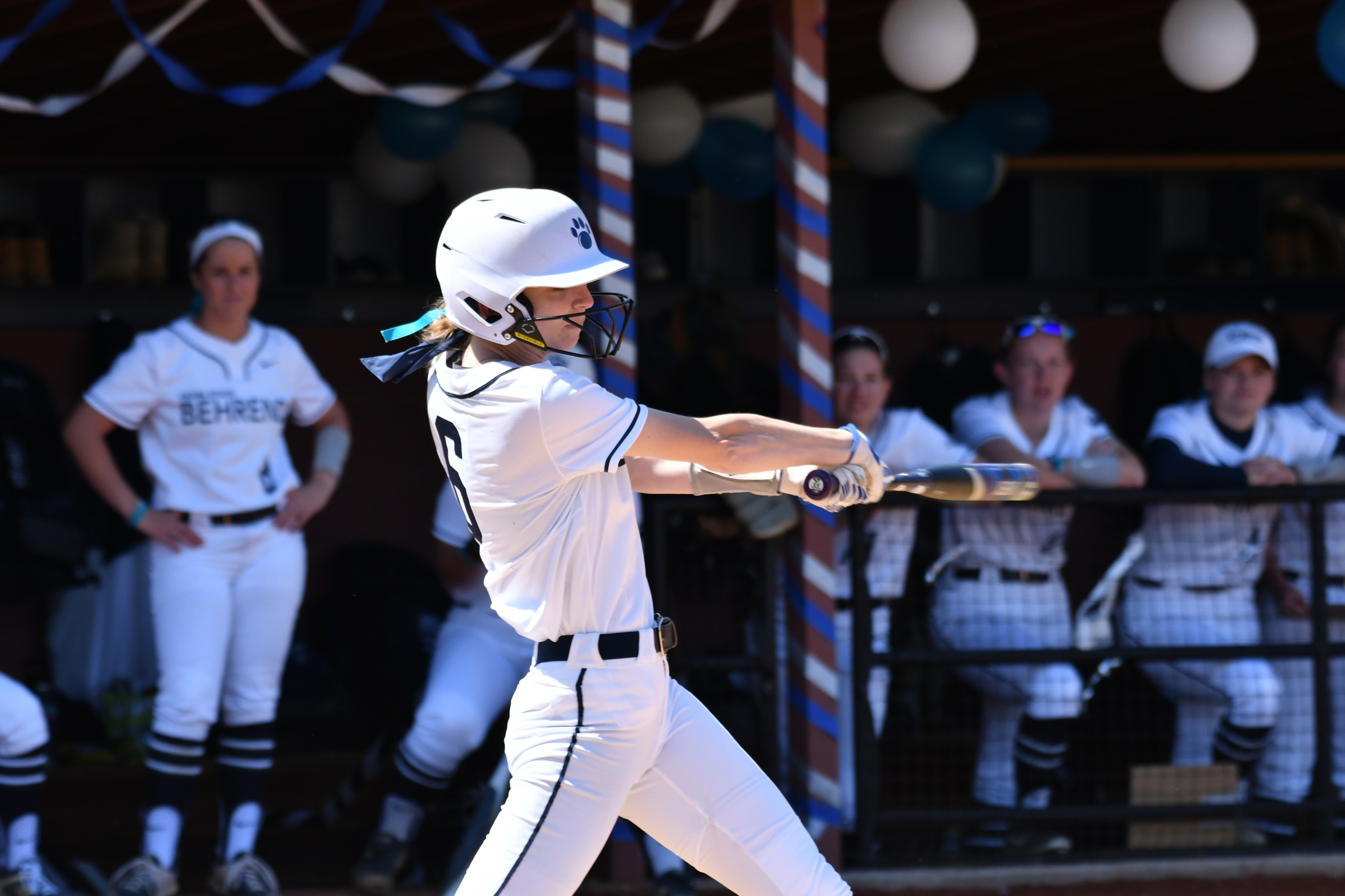 Behrend Softball Sweeps Alfred State