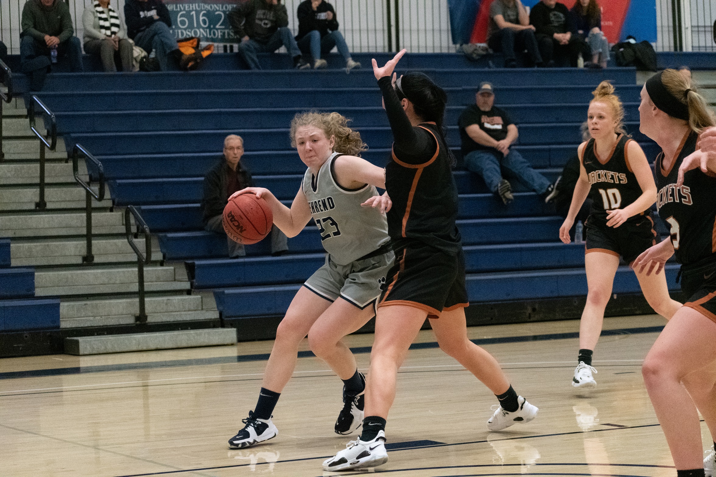 Women's Hoops Wins on the Road; Lions Defeat Alfred State