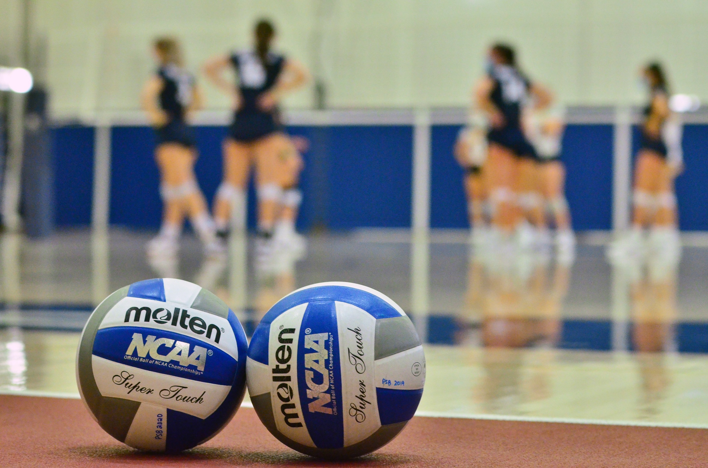 Behrend Women's Volleyball Travels to Alfred Saxon Classic This Weekend