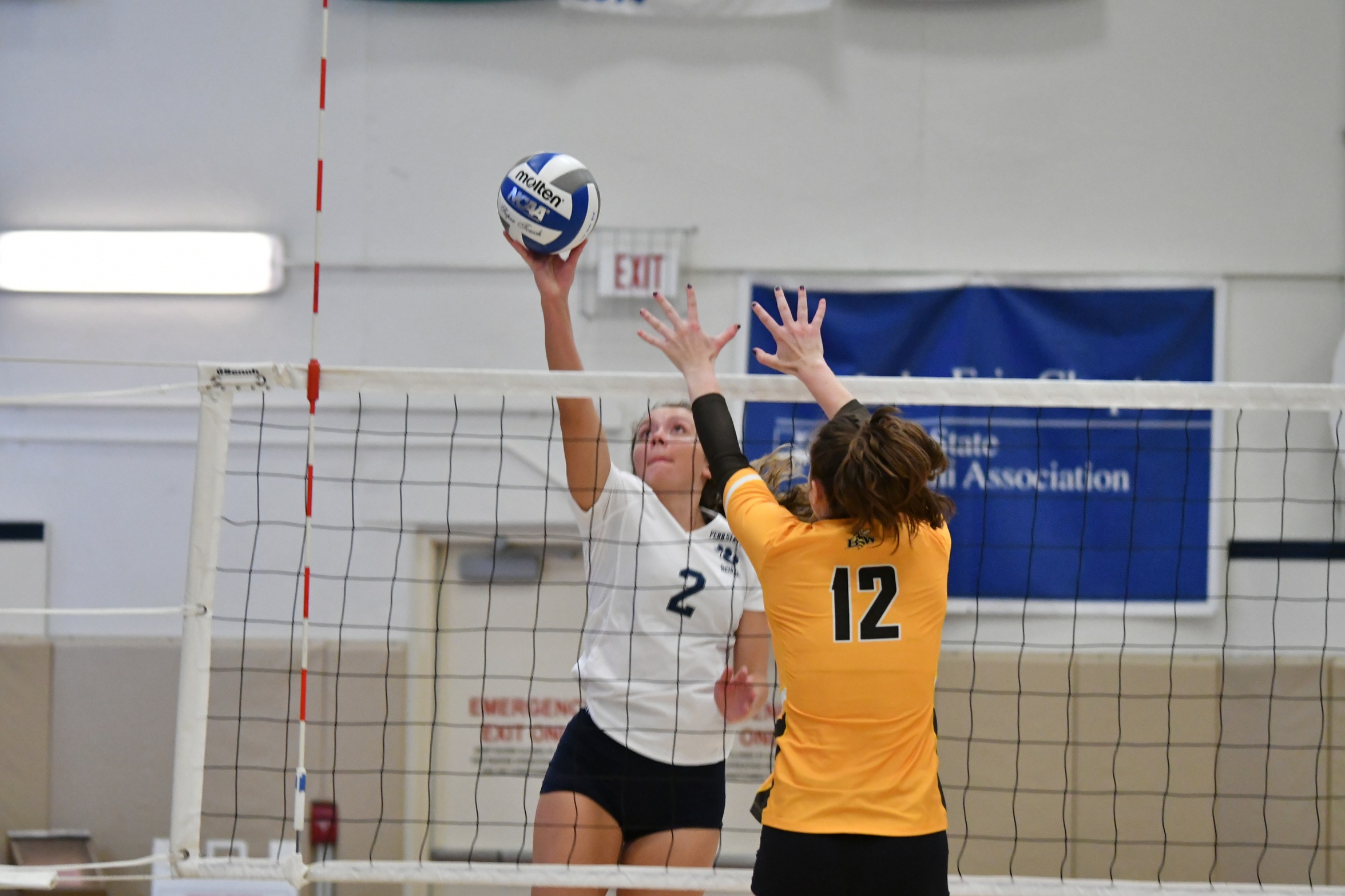 Behrend Volleyball Sweeps Alfred State; Lions Collect 13th Straight Win