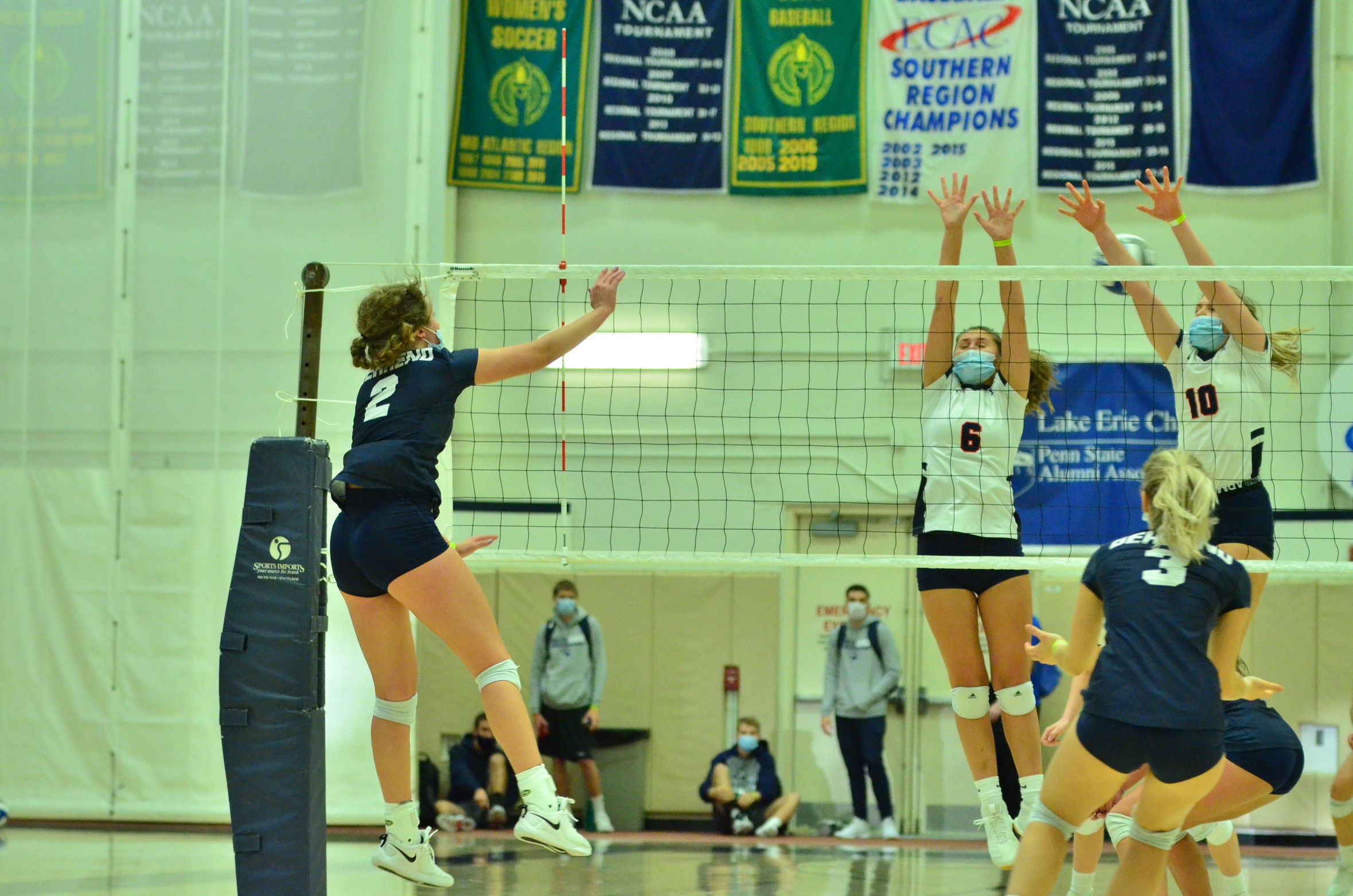 Behrend Volleyball Goes Undefeated at Alfred Saxon Classic