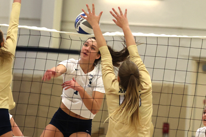 Behrend Volleyball Defeats Pitt-Bradford; Lions Face No. 2 Alfred State in Title Match